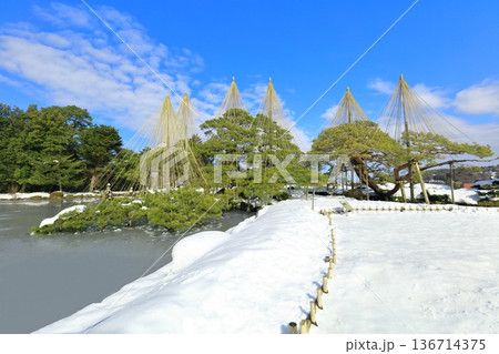 【石川県】白銀の兼六園（雪吊唐崎松） 136714375