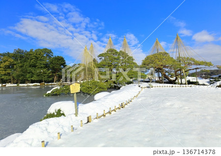 【石川県】白銀の兼六園（雪吊唐崎松） 136714378