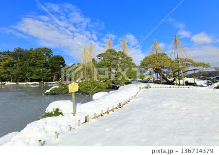 【石川県】白銀の兼六園（雪吊唐崎松） 136714379