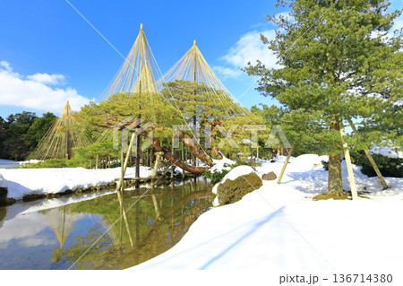 【石川県】白銀の兼六園（雪吊唐崎松） 136714380