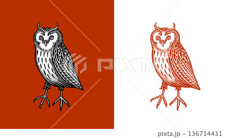Heraldic long eared owl or eagle owl for coat of arms design and shield. Hand drawn engraving in old 136714431