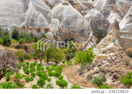Volcanic rock formations landscape in Cappadocia, place of residence of ancient Christians 136714623