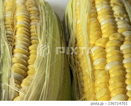 Sweet Corn Kernel Macro Texture with Silk 136714701