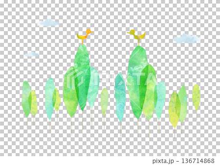 watercolor green tree with birds 136714868