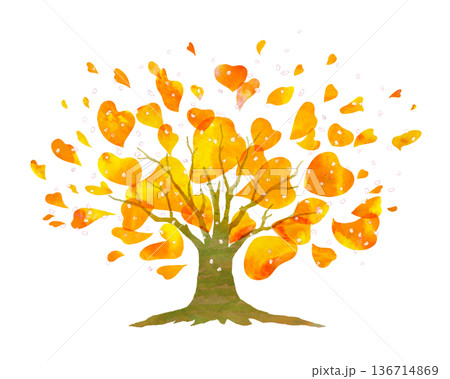 tree of colorful autumn leaves 136714869