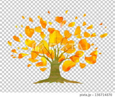 autumn tree with colorful leaves 136714870