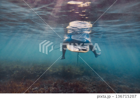 Serene Aquatic Environment Where Surfer Halts Amid Colorful Sea Life Sunlight Serene Aquatic Environment Where Surfer Halts Amid Colorful Sea Life Sunlight 136715207