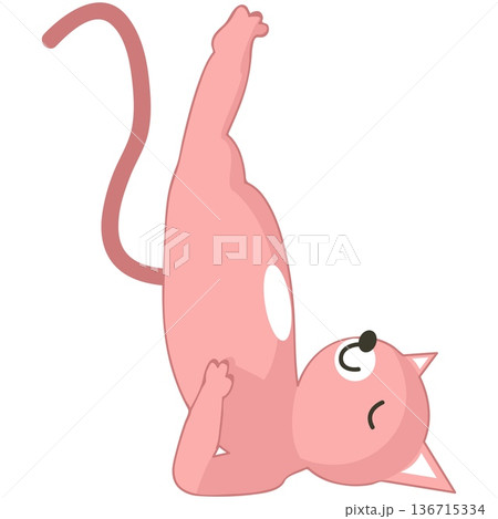 Yoga cat in sarvangasana birch pose vector icon Yoga cat in sarvangasana birch pose vector icon 136715334