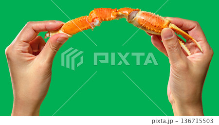 [素材] 日本製の手が緑色の背景に大きな赤いタラバガニの脚を持っています。 136715503