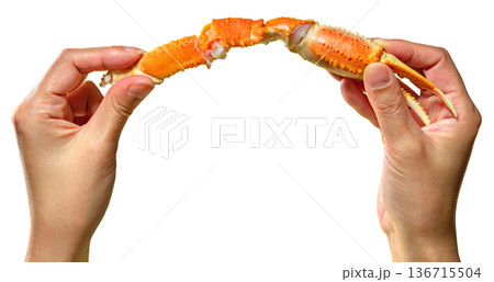 [素材] 日本製の手が白い背景に赤いタラバガニの脚を持っています。 136715504