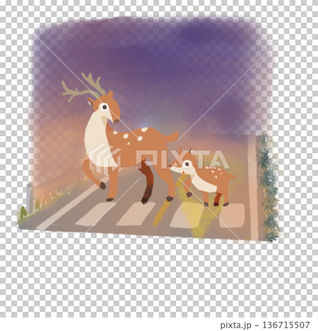 薄暮の道路を渡る鹿の親子 136715507
