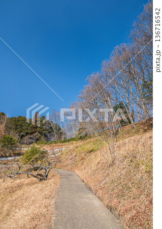 祝戸の棚田風景　国営飛鳥歴史公園祝戸地区　奈良県 136716542