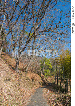 祝戸の棚田風景 国営飛鳥歴史公園祝戸地区 奈良県 祝戸の棚田風景 国営飛鳥歴史公園祝戸地区 奈良県 136716545