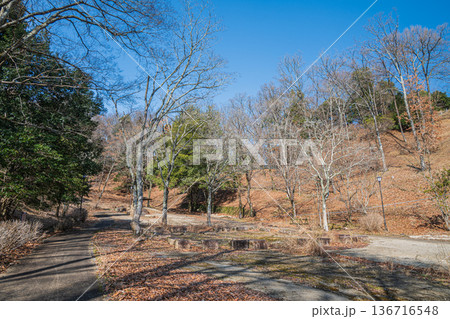 国営飛鳥歴史公園祝戸地区　芝生広場　奈良県明日香村 136716548