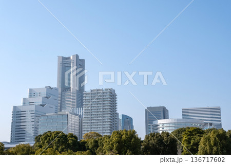 森の向うに見えるみなとみらいの高層ビル群 森の向うに見えるみなとみらいの高層ビル群 136717602