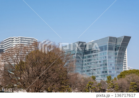 森の向うに見えるみなとみらいの高層ビル群 136717617