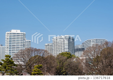 森の向うに見えるみなとみらいの高層ビル群 136717618
