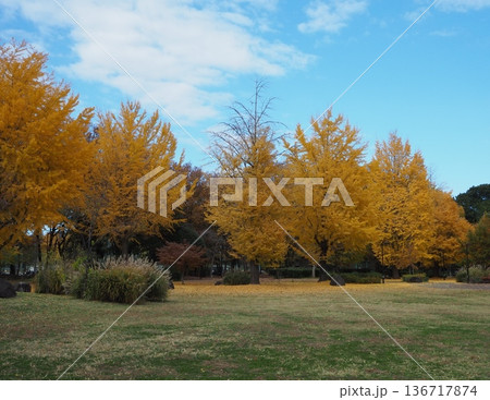 武蔵野中央公園 136717874