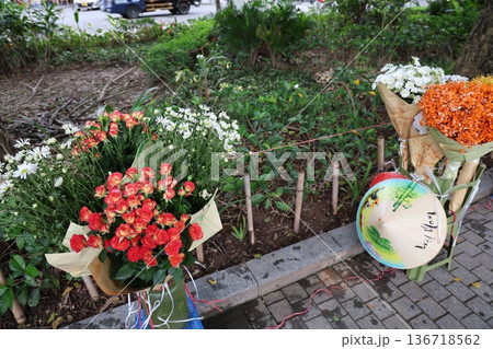 花のある風景 花のある風景 136718562
