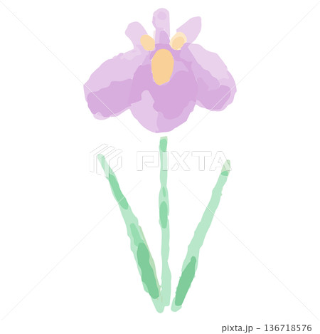 幼稚園・保育園向け 5月のやさしい水彩挿絵イラストシリーズ｜あやめの花 136718576