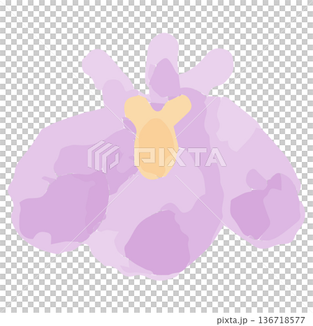 幼稚園・保育園向け 5月のやさしい水彩挿絵イラストシリーズ｜あやめの花 136718577