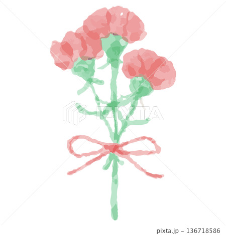幼稚園・保育園向け 5月のやさしい水彩挿絵イラストシリーズ｜カーネーション（母の日） 136718586