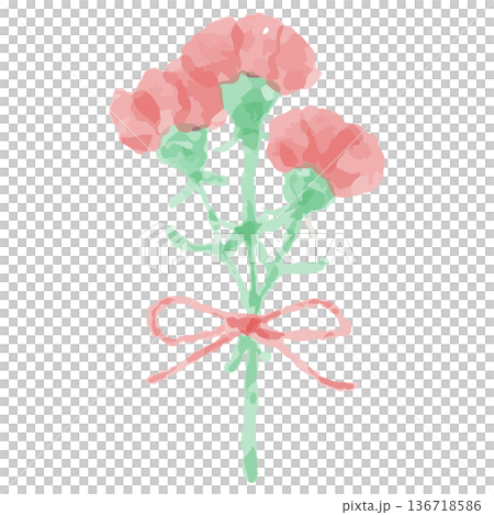 幼稚園・保育園向け 5月のやさしい水彩挿絵イラストシリーズ｜カーネーション（母の日） 136718586