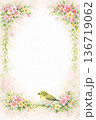 花 フレーム 小鳥 春 水彩 ナチュラル 縦 背景 イラスト 素材 136719062