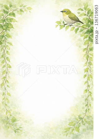 リーフ フレーム 小鳥 新緑 水彩 ナチュラル 縦 背景 イラスト 素材 136719063