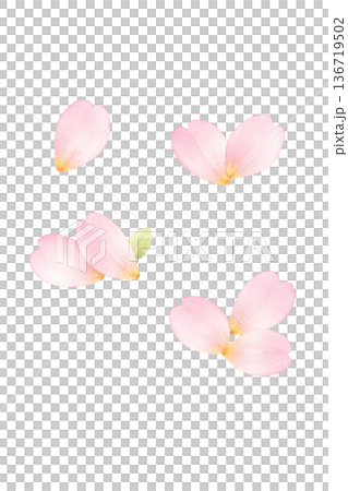 桜 花びら セット 春 水彩 ナチュラル イラスト 切り抜き素材 136719502