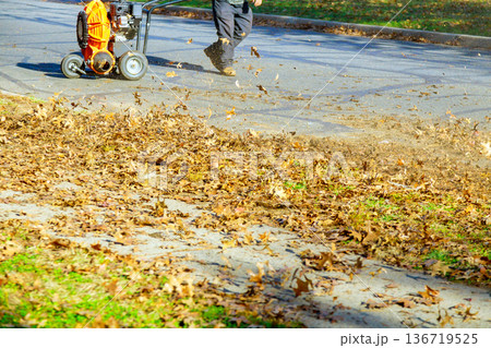 Worker uses leaf blower on pathway covered with fallen leaves in park in residential area 136719525