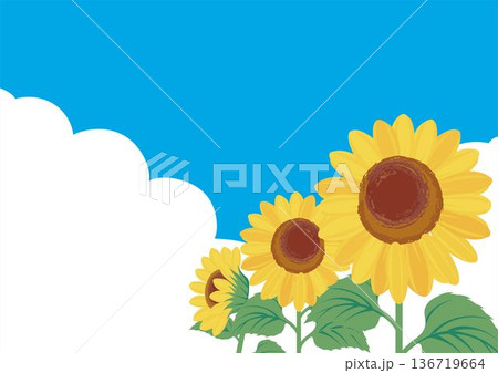 ひまわり畑と夏の空のバナー背景。コピースペース付き、暑中見舞いや夏イベントのベクター素材 136719664