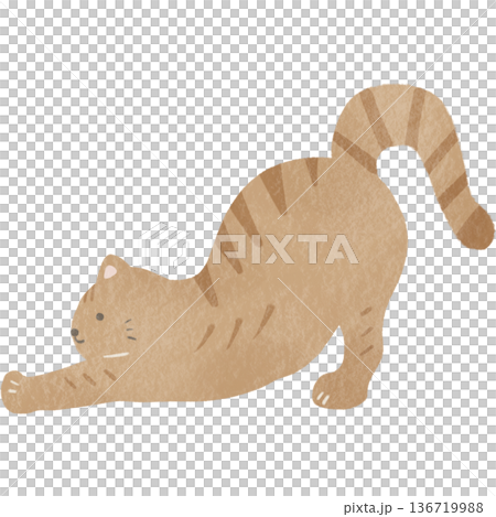 Cute watercolor cat illustration material | Cats, animals, pets Cute watercolor cat illustration material | Cats, animals, pets 136719988