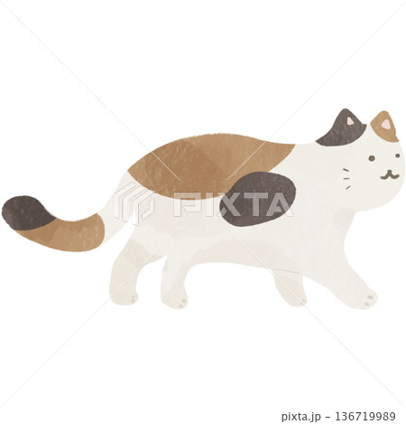 水彩風のかわいい猫イラスト素材｜猫・動物・ペット 136719989