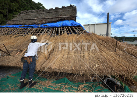 茅葺屋根の葺き替え工事 茅葺職人の作業風景 茅葺屋根の葺き替え工事 茅葺職人の作業風景 136720219