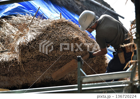茅葺屋根の葺き替え工事　茅葺職人の作業風景 136720224