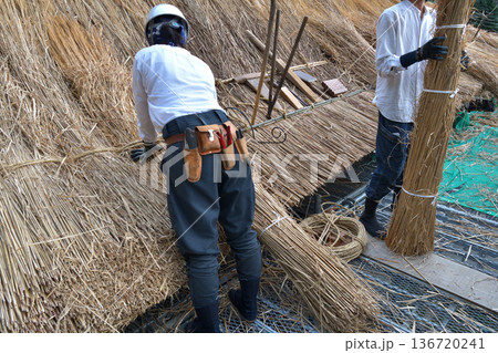 茅葺屋根の葺き替え工事　茅葺職人の作業風景 136720241