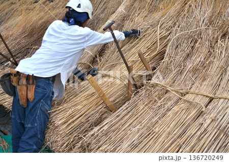 茅葺屋根の葺き替え工事　茅葺職人の作業風景 136720249