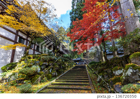 永平寺 永平寺 136720350