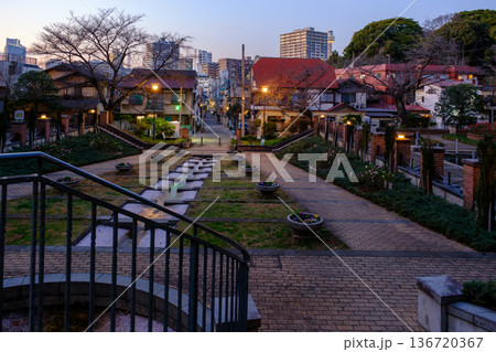 夕刻の元町公園 136720367