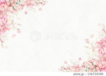 満開の桜の花枠 満開の桜の花枠 136720386