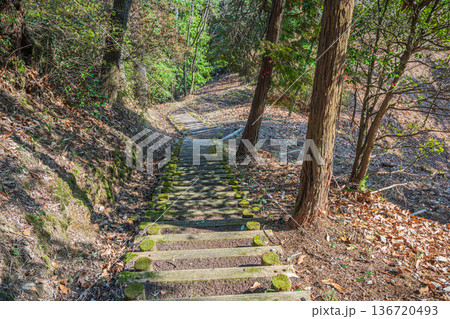 祝戸の棚田風景 国営飛鳥歴史公園祝戸地区 奈良県 祝戸の棚田風景 国営飛鳥歴史公園祝戸地区 奈良県 136720493