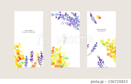 水彩画。水彩タッチの春の植物テンプレート。花と植物の装飾背景セット。 水彩画。水彩タッチの春の植物テンプレート。花と植物の装飾背景セット。 136720853