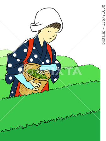 五月の八十八夜に茶摘みをする早乙女姿の女性 五月の八十八夜に茶摘みをする早乙女姿の女性 136721030