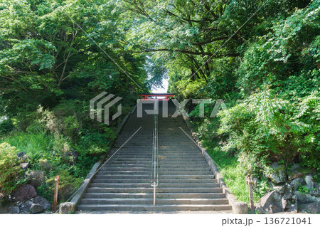 緑に囲まれた霧島神社入口へ続く長い石段 緑に囲まれた霧島神社入口へ続く長い石段 136721041