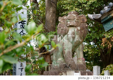 御器所八幡宮 吽形こま犬 御器所八幡宮 吽形こま犬 136721234