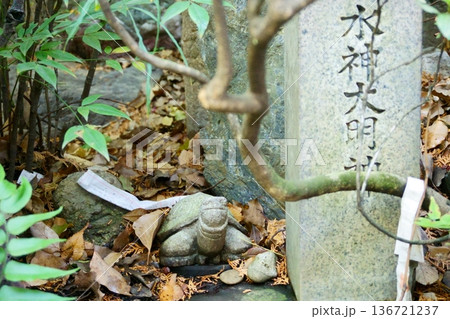 御器所八幡宮 境内の亀 御器所八幡宮 境内の亀 136721237