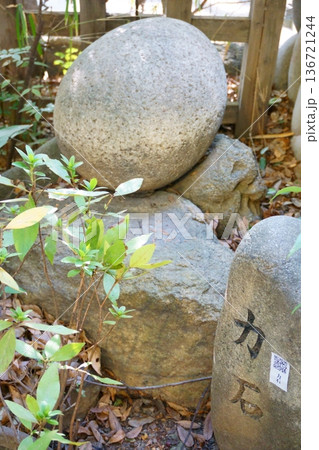 御器所八幡宮 強い力を秘めた力石 御器所八幡宮 強い力を秘めた力石 136721244