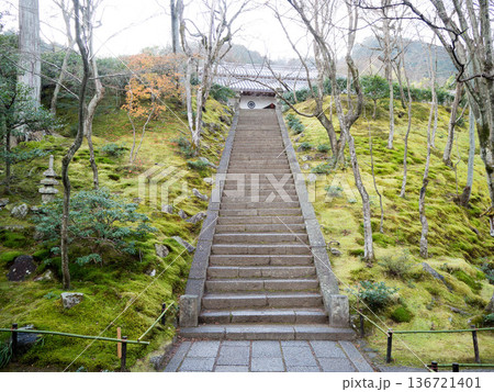 京都 嵐山 常寂光寺 京都 嵐山 常寂光寺 136721401
