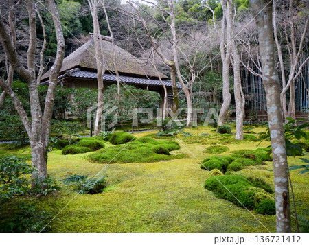 京都　嵐山　祇王寺 136721412